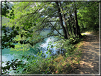 foto Lago di Levico